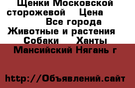Щенки Московской сторожевой  › Цена ­ 25 000 - Все города Животные и растения » Собаки   . Ханты-Мансийский,Нягань г.